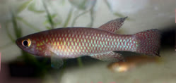 00-1-Copr_2024-Vasco_Gomest.jpg