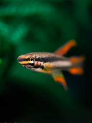 00-0-Copr_2025-Michael_Jensen.jpg 00-0-Copr_2025-Michael_Jensent.jpg