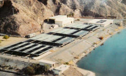 Willow-Beach-National-Fish-Hatchery_within-Lake_Mead_National_Recreation_Areat.jpg