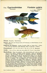 00-0-Copr_2025-ellermant.jpg