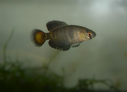 00-0-Copr_2025-Ondrej_Dockal.jpg 00-0-Copr_2025-Ondrej_Dockalt.jpg